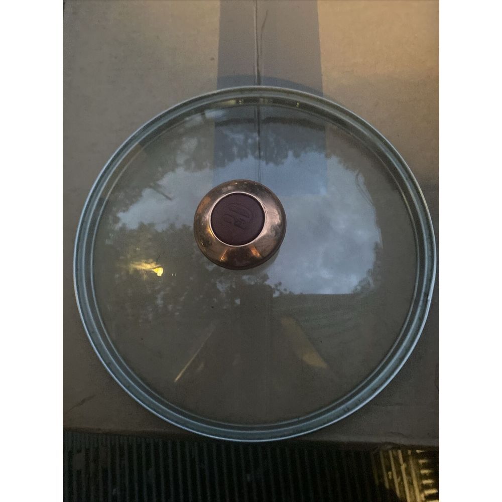 Paula‎ Deen PD Glass  Copper Replacement Lid 9.25" Interior Rim For Pot Pan New